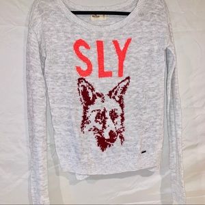 Hollister Sweater